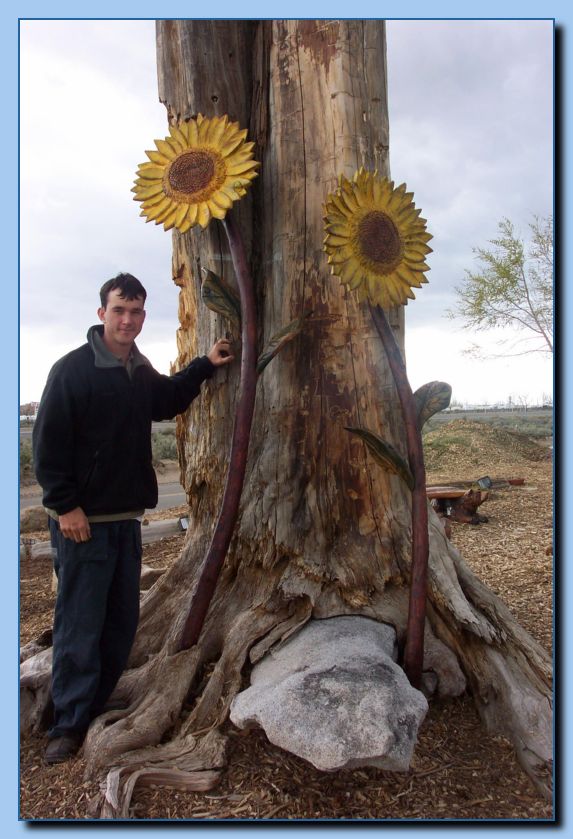 2 024 Sun Flowers Archive